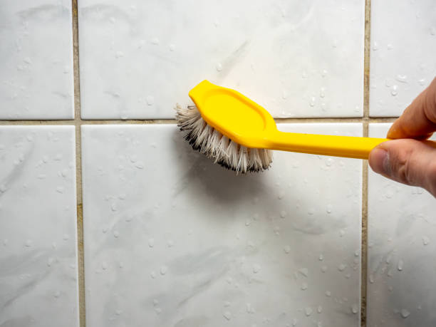 Best Attic Mold Removal  in Rosedale, LA