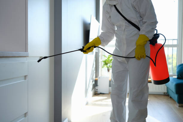 Best Commercial Mold Removal  in Rosedale, LA