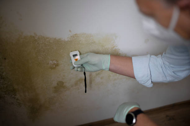 Crawl Space Mold Removal in Rosedale, LA